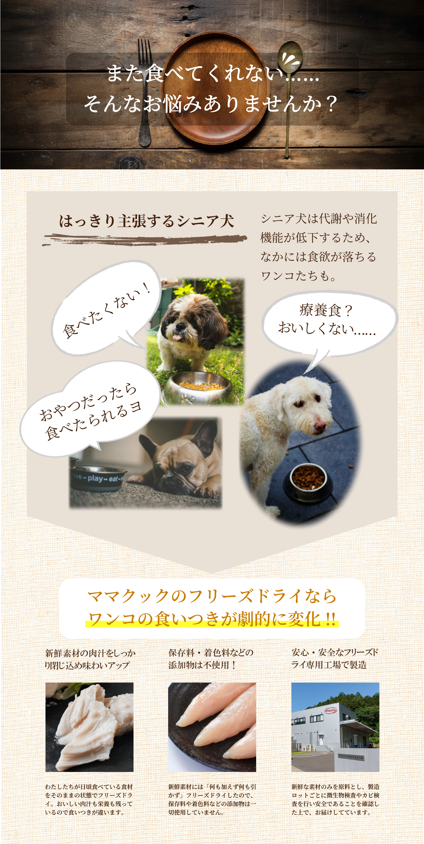 ワンコの食いつきが劇的に変化します
