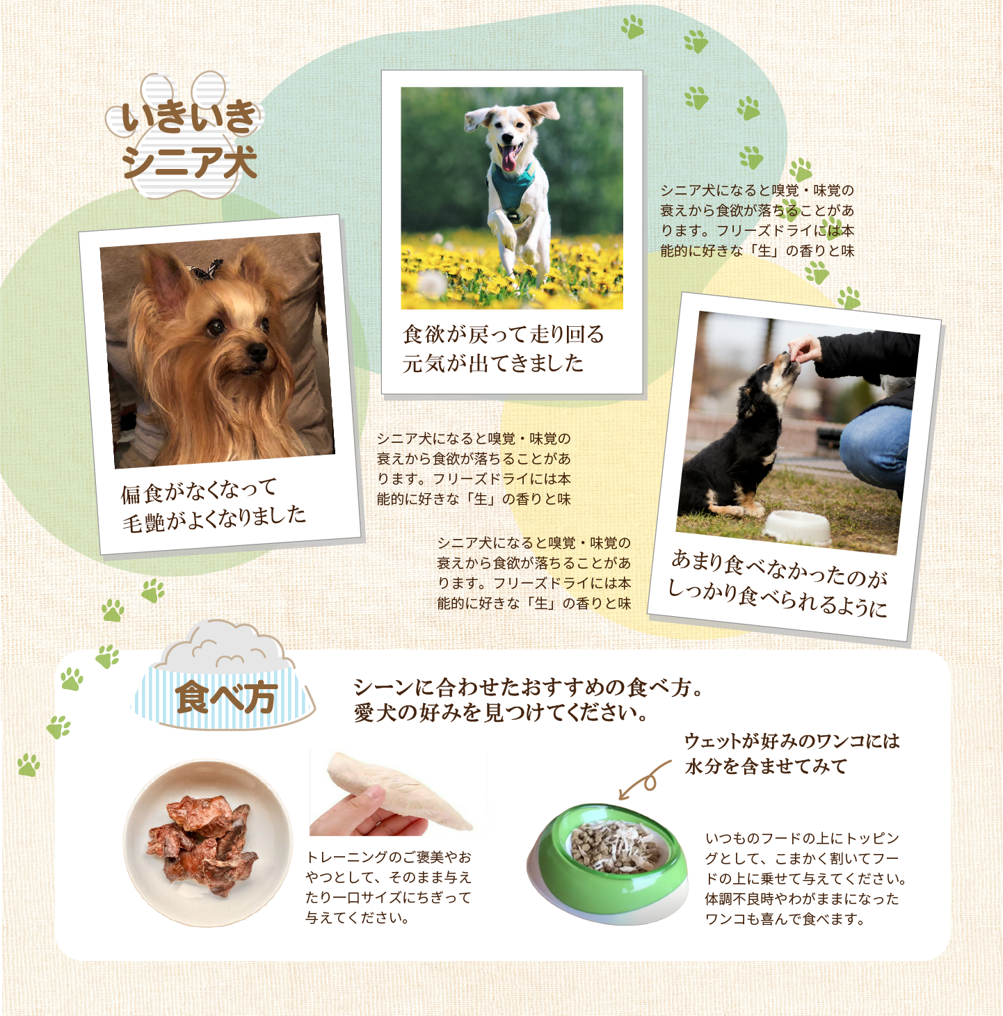 シニア犬の変化について飼い主からうれしいお声がたくさん
